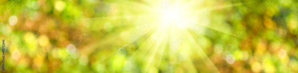 Abstract natural image, sun rays, green blurred background. Horizontal image bright sun on blurred natural background. Abstract natural image, sun rays, green blurred background. Horizontal image bright sun on blurred natural background.