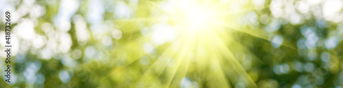 Abstract natural image, sun rays, green blurred background. Horizontal image bright sun on blurred natural background.