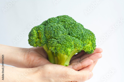 Ripe broccoli in women's hands on a white background