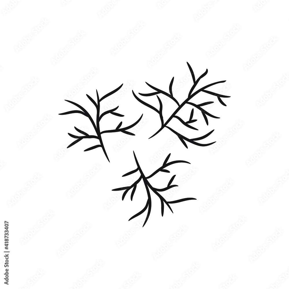 Fototapeta premium Cute hand drawn fennel. The ingredient for various meals in cooking. Vector 