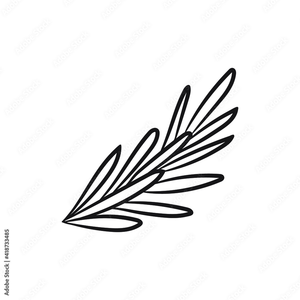 Cute hand drawn sprig of rosemary. The ingredient for pizza, cooked meat or other meals. Vector Cute hand drawn sprig of rosemary. The ingredient for pizza, cooked meat or other meals. Vector