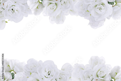 trendy white rose spring flower border with room for text