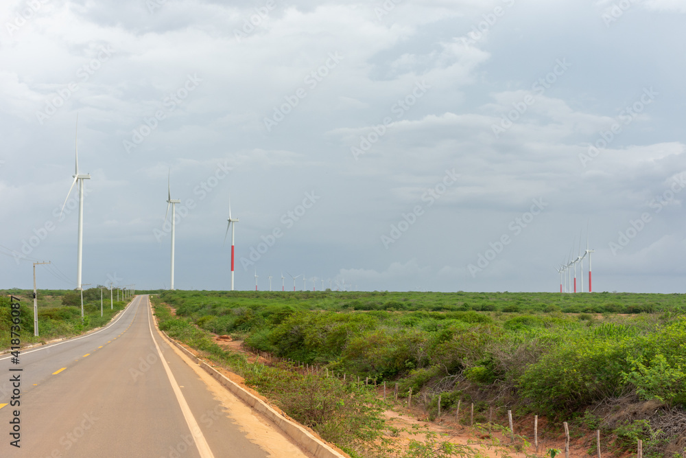 Estrada cortando parque eólico com geração de energia limpa em deserto