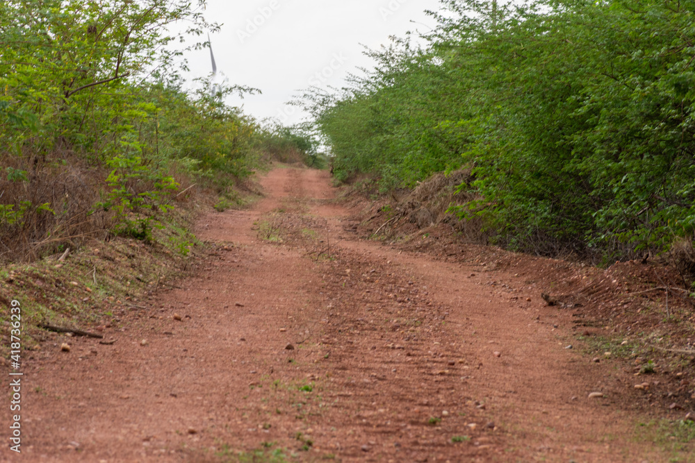 Caminho estreito em estrada de terra Caminho estreito em estrada de terra