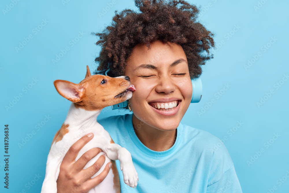 Obraz premium People animals relationship concept. Happy positive curly African American woman poses with pet going to have walk outdoor together. Small dog licks owner in cheek expresses love for being cared