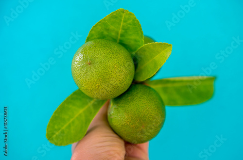Fresh green eco Lime fruits with green leaf on blue background.