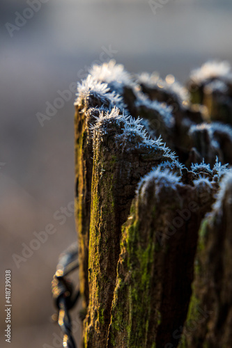 Zaunpfahl mit Raureif