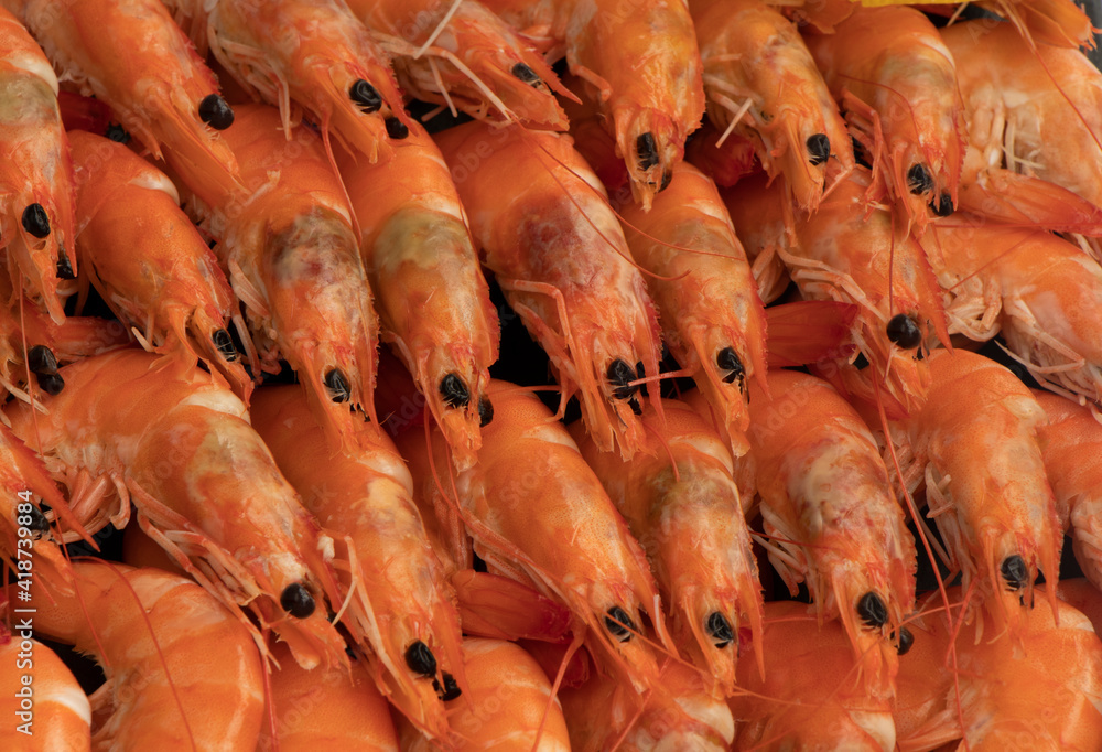 large shrimps are arranged in even rows. Ready-made seafood. Royal shrimp concept. shrimp texture. High quality photo large shrimps are arranged in even rows. Ready-made seafood. Royal shrimp concept. shrimp texture. High quality photo