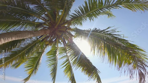 Wallpaper Mural 4k footage B roll of sun rays, sunbeams shines through coconut tree. sunny daytime in a tropical beach and sea. blue sky bright sun landscape nature background. traveling in paradise summer holiday. Torontodigital.ca