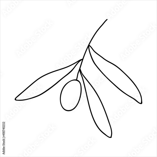 Olive with leaves