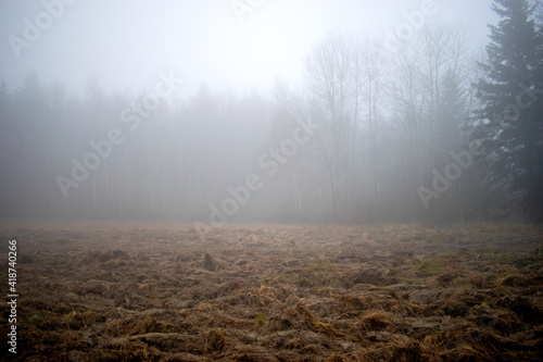 Mgła, las i zaorane pole wczesną wiosną