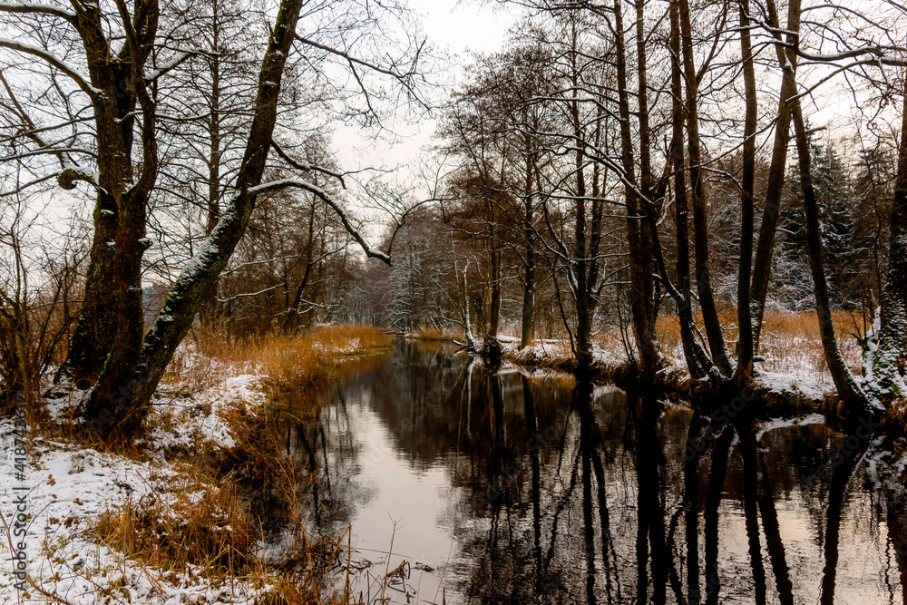 Dolina rzeki Supraśl, Podlasie, Polska
