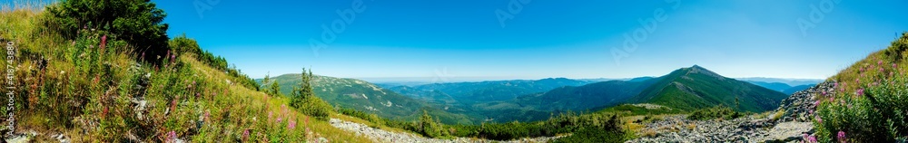 beautiful panorama with alpine pine and mountains under blue sky