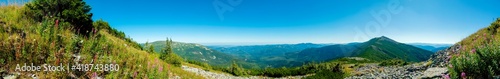 beautiful panorama with alpine pine and mountains under blue sky