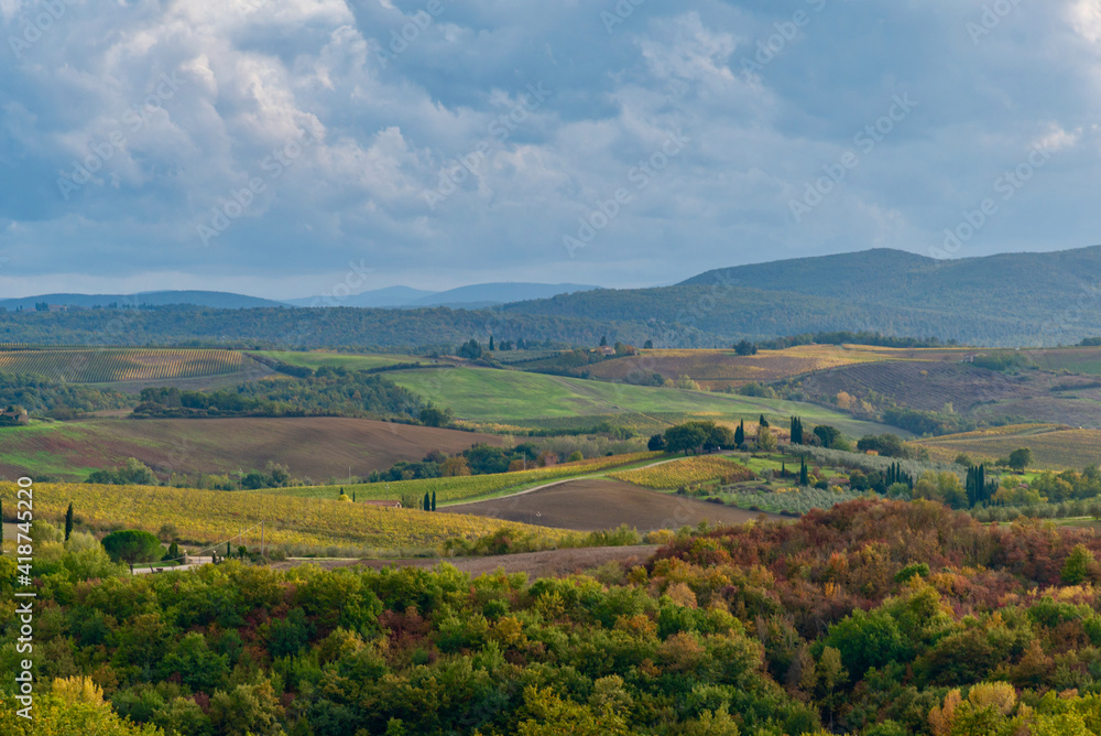 Naklejka premium Chianti vineyards in autumn