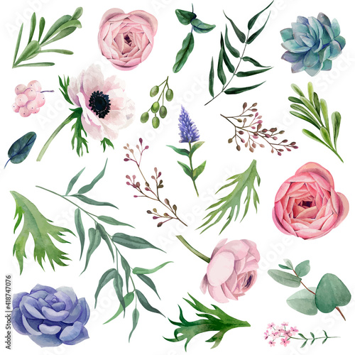 Set of delicate watercolor anemones, leaves, berries and other botanicals