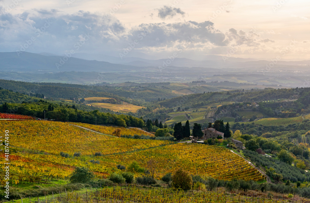 Obraz premium Chianti vineyards in autumn