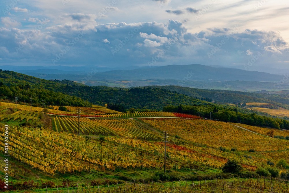 Chianti vineyards in autumn Chianti vineyards in autumn