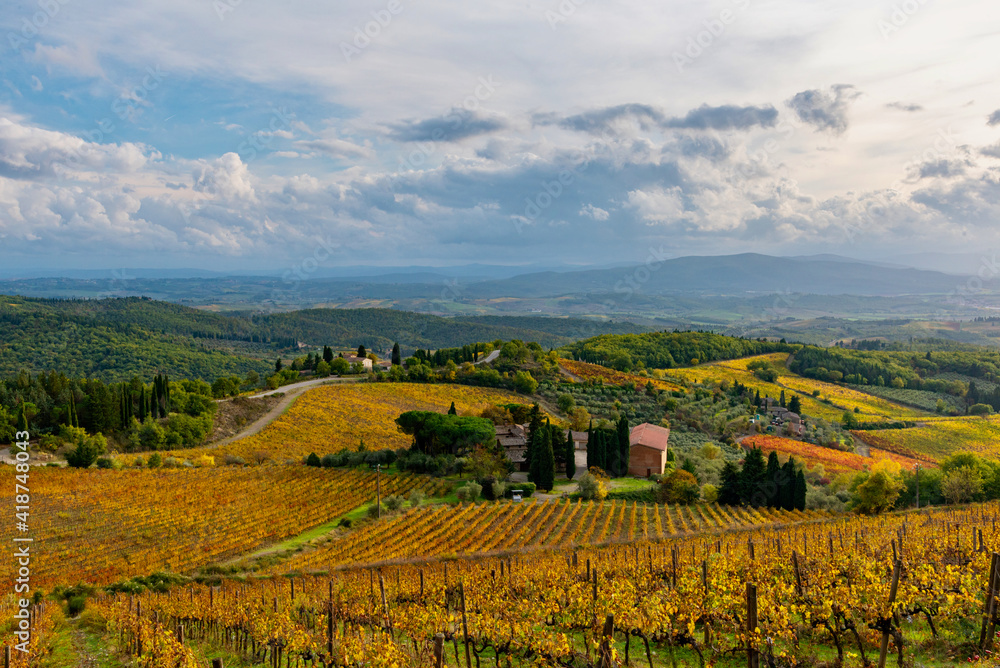 Naklejka premium Chianti vineyards in autumn
