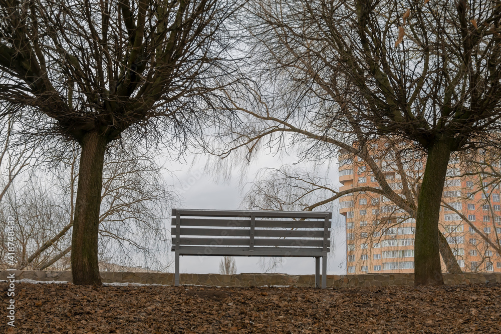 Urban graphics.Trees and bench on the background of the winter sky.
