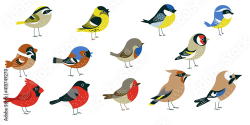 Set of decorative forest birds