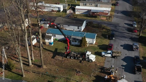 Trees cutting with a person high in the tree and a extended boom trimmer truck holding the tree in posistion. Slowly drone panning left shot photo