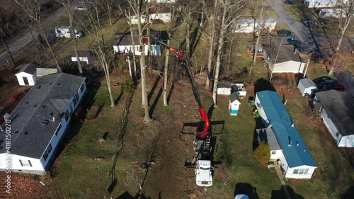 Trees cutting with a person high in the tree and a extended boom trimmer truck holding the tree in posistion. Slowly drone panning right shot photo