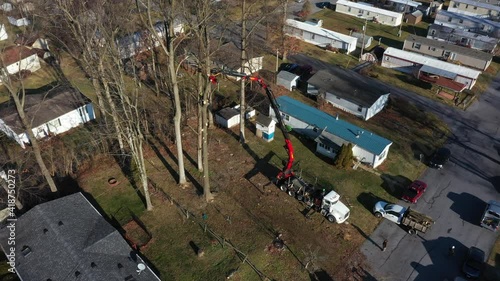 Trees cutting with a person high in the tree and a extended boom trimmer truck holding the tree in posistion. Slowly wide drone panning right shot photo