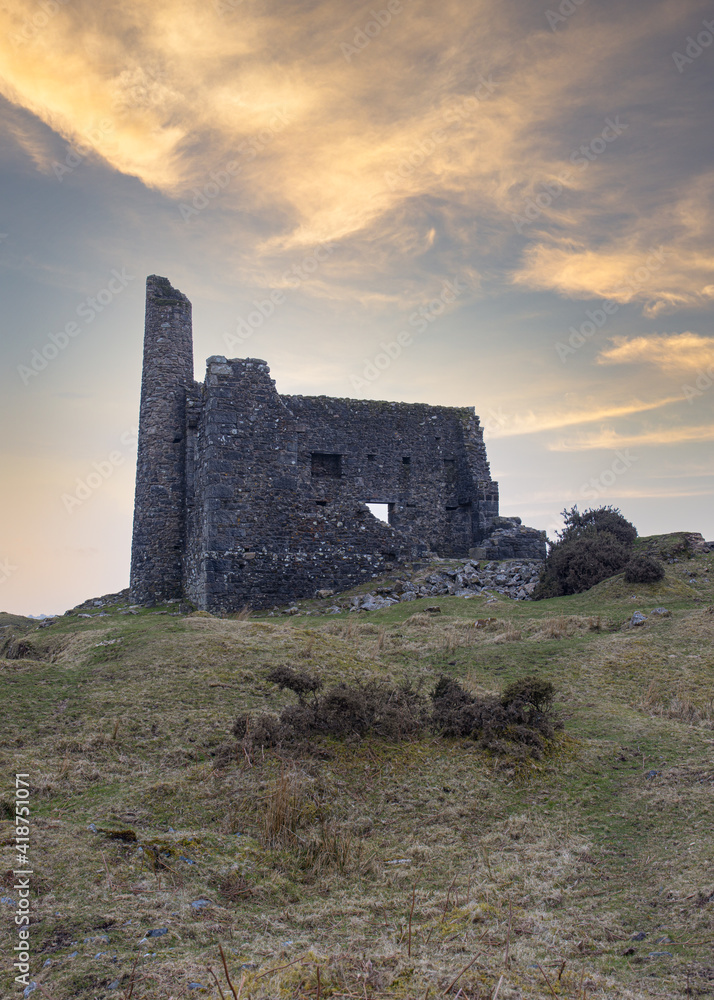 Obraz premium Ruins of silver Valley Mine Craddock Moor Bodmin Moor Cornwall