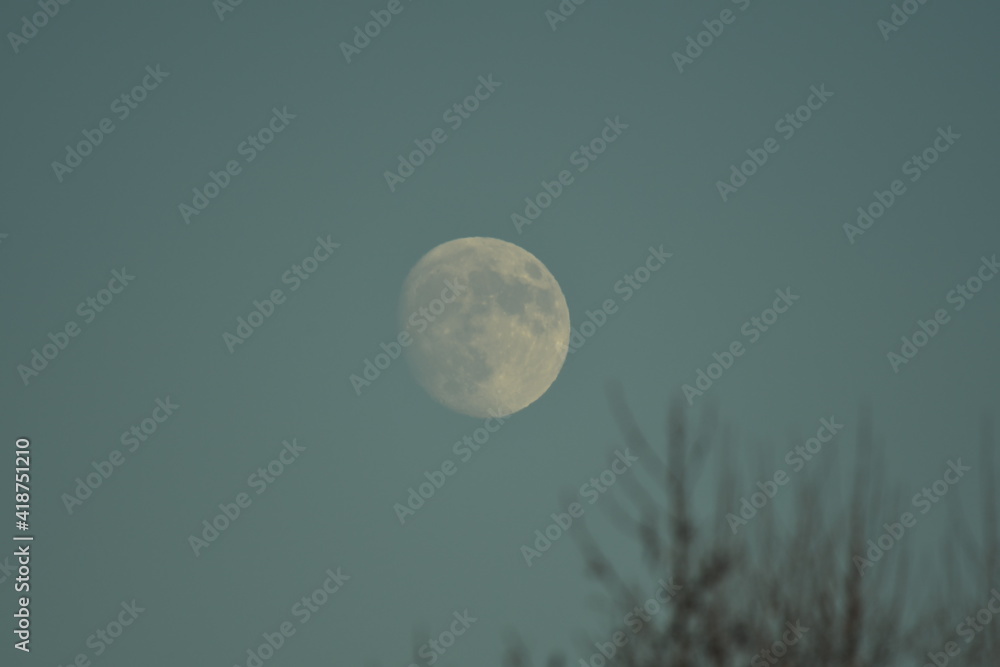 Full big moon on the sky our natural satelite and planete Full big moon on the sky our natural satelite and planete