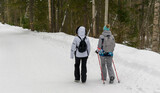 A couple of women are walking along a snowy road. View from the back. White snow, trees in winter. Sportswear, Nordic walking sticks. Hiking health concept.