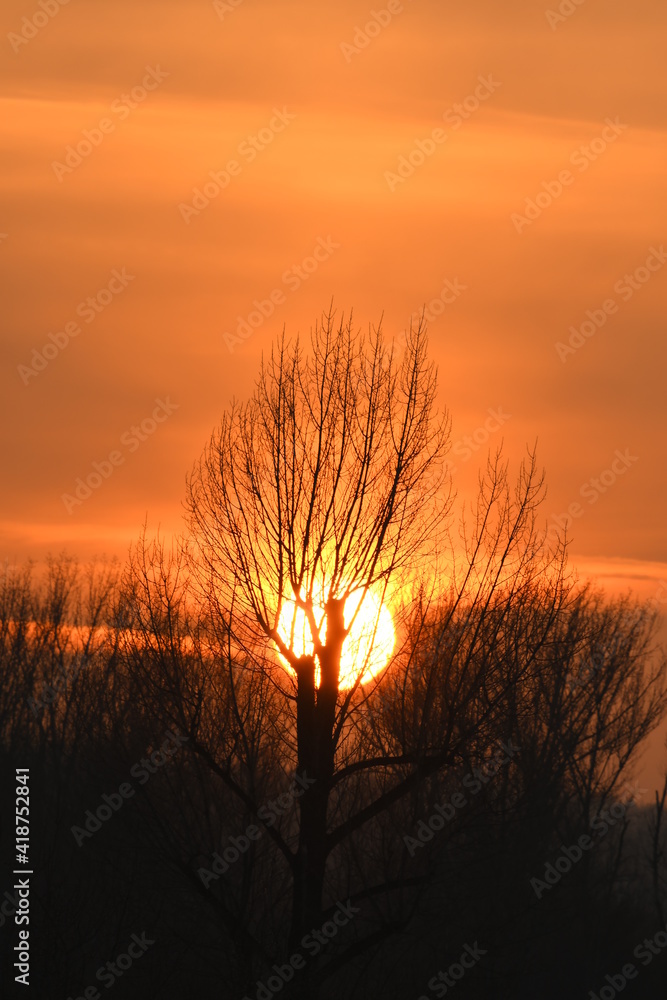 Beauty sunset over forest with orange sky and sun behind the trees