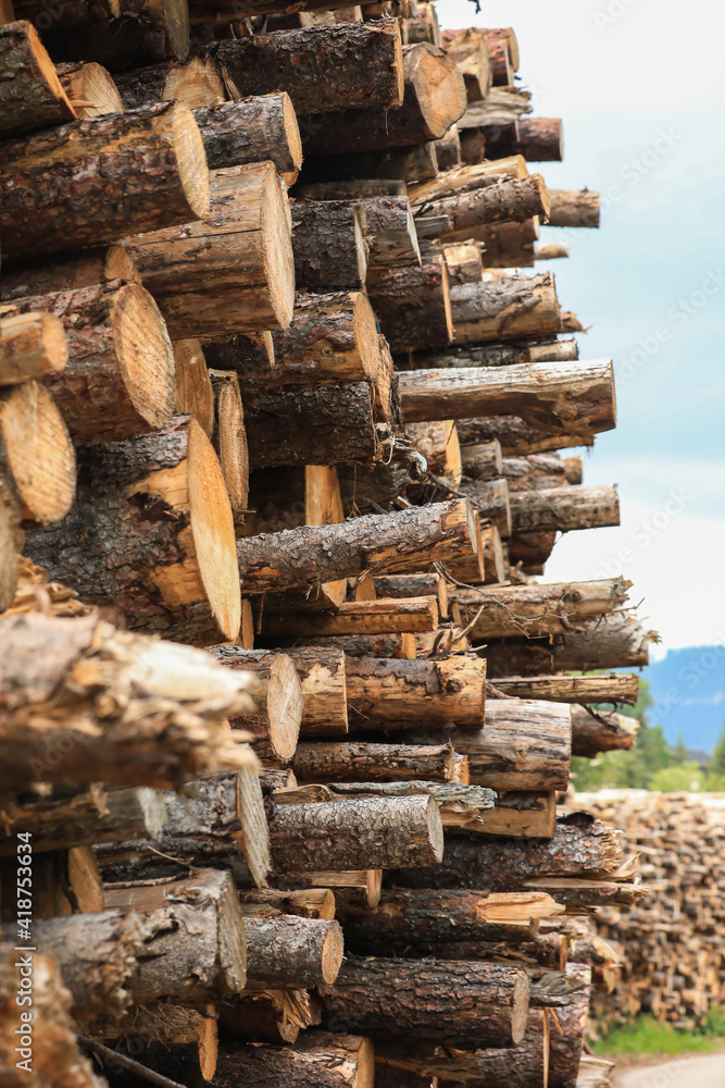 Woodpile along a mountain trial (Dolomites, Italian Alps, Alta Badia) Woodpile along a mountain trial (Dolomites, Italian Alps, Alta Badia)
