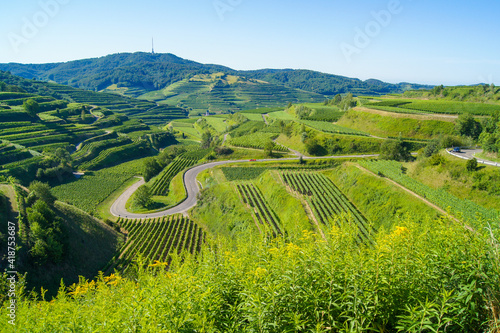 Beautiful vineyard landscape showing a curvy mountain pass road at the Kaiserstuhl, Germany.