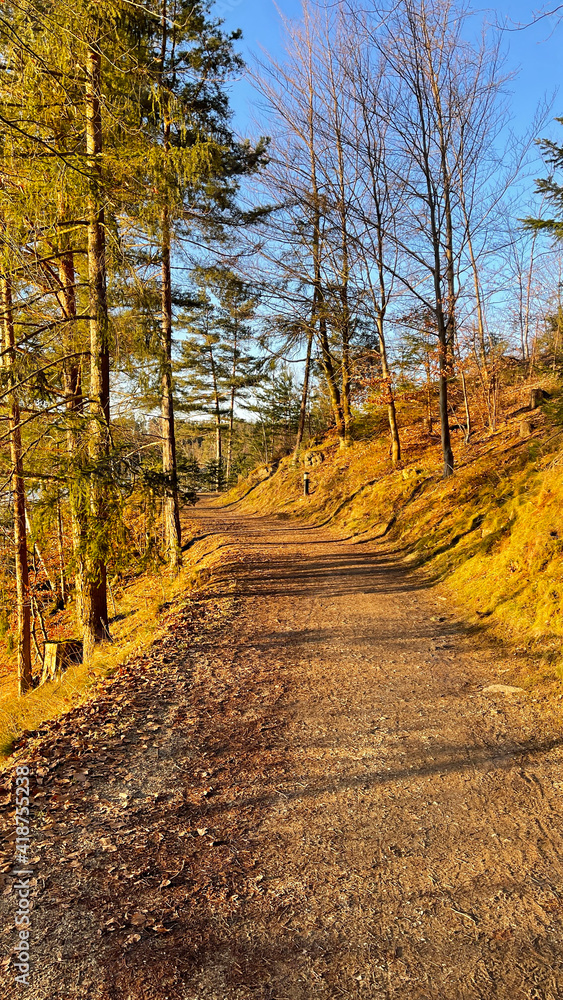 Naklejka premium Weg