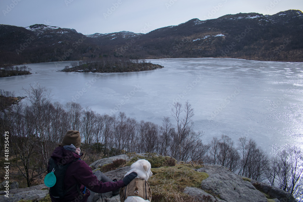 Hiker with Samoyed husky dog ​​looking at frozen lake and fjord in Rogaland Norway