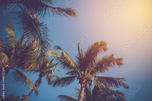 Vintage coconut tree on blue sky background