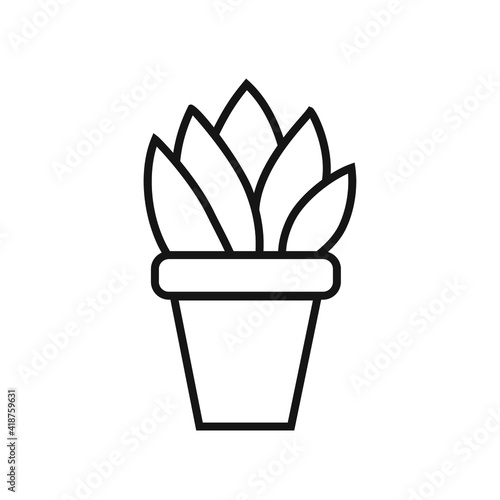 vector simple thin line drawing abstract logo icon flower potted sansevieria isolated black on white background