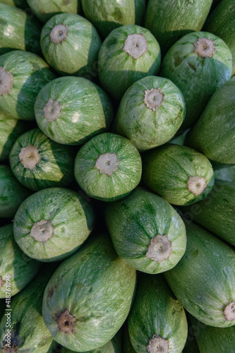 green background of zucchini front view photo