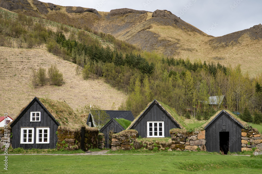 Traditional Icelandic houses and farmhouses with grass roof in Iceland
