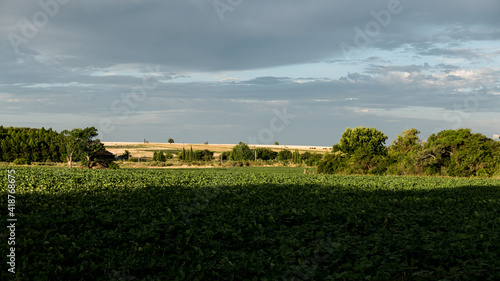 paisaje rural, plantaciones de soja
