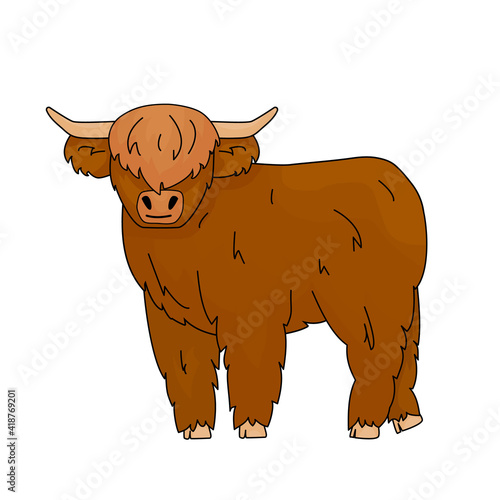 Cute Cartoon vector outline doodle illustration of small Bull Scottish highland cow kid. Isolated Animal stands on the ground on white background. Front view with horns.