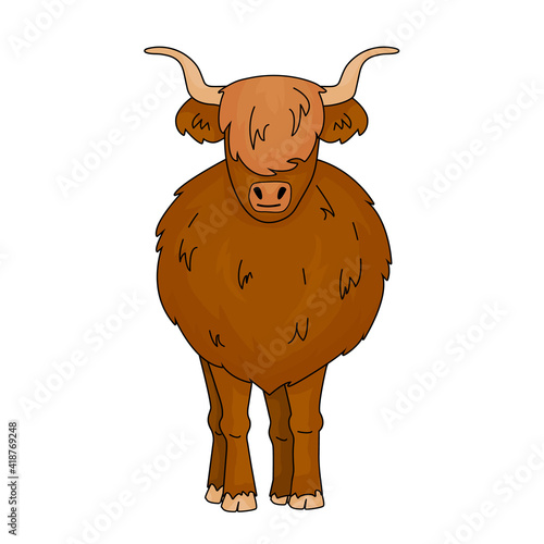 Cartoon vector outline doodle illustration of big Bull Scottish highland cow mother. Isolated Animal stands on the ground on white background. Front view with horns.