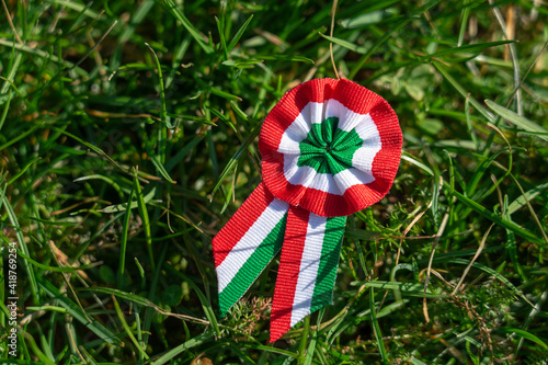 tricolor rosette on spring tree with bud symbol of the hungarian national day 15th of march on grass photo