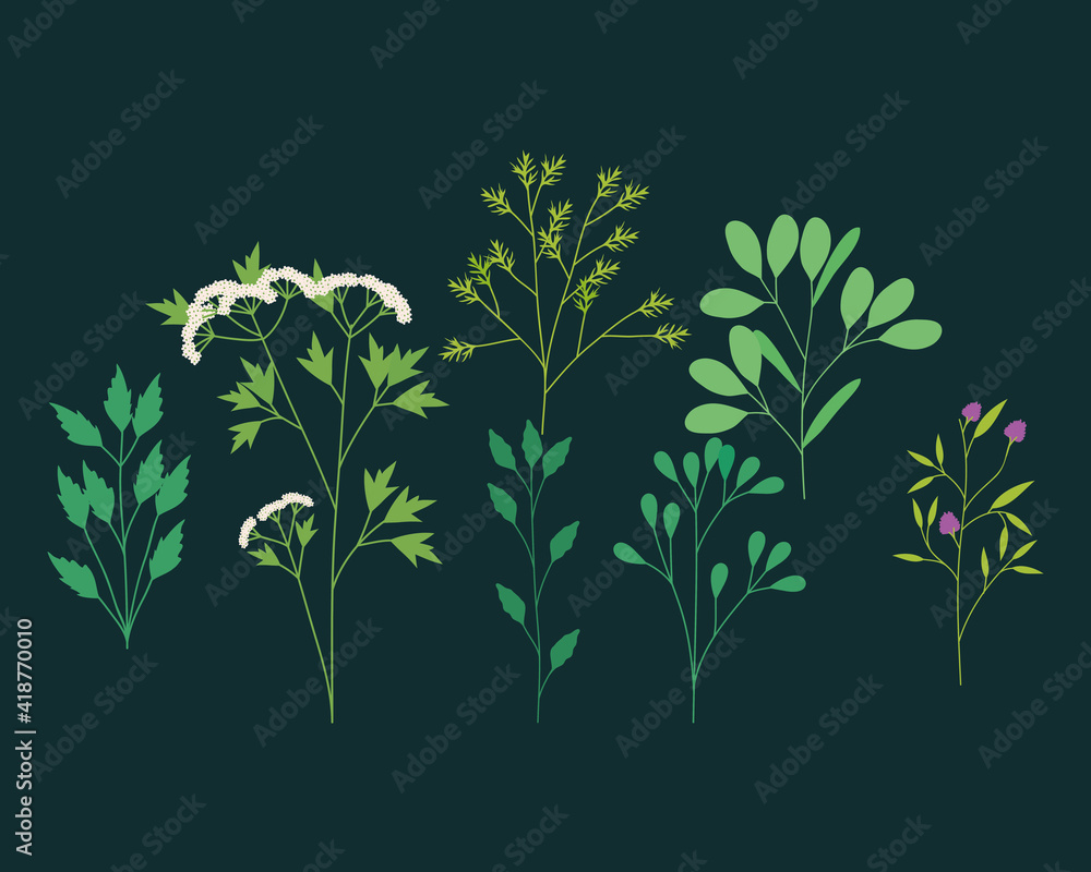 green stems set green stems set