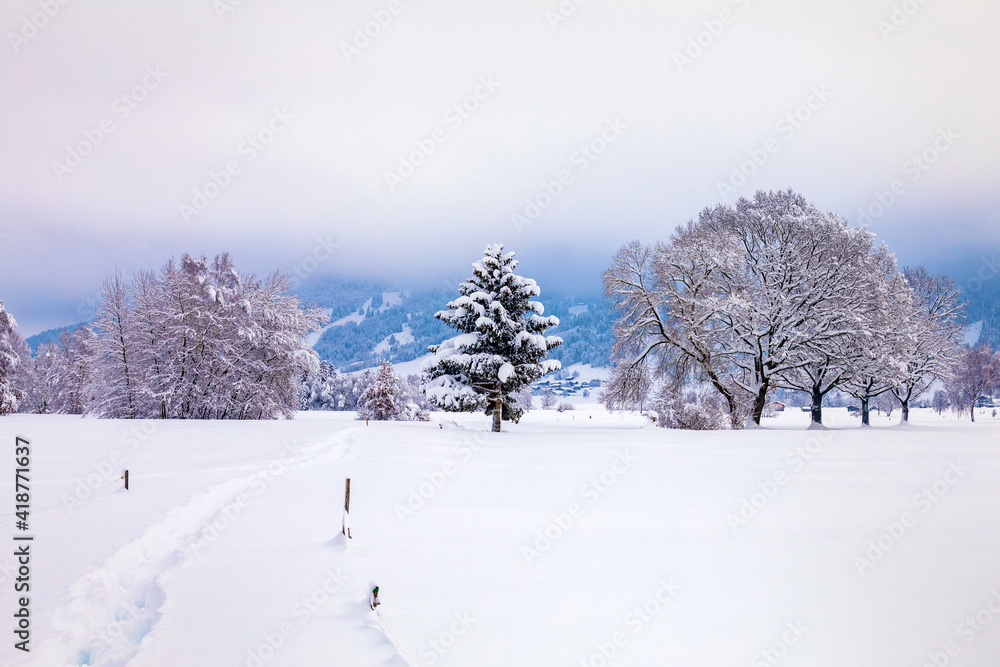 Allgäu - Winter - Burgberg - Häuser - Bäume - Schnee - Goymoos Allgäu - Winter - Burgberg - Häuser - Bäume - Schnee - Goymoos