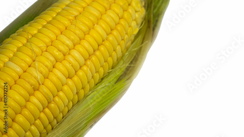 Single ear of corn with gre...