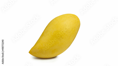 Ripe yellow mango species n...