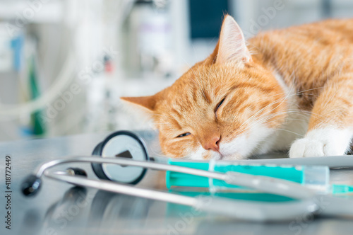 Image of a ginger sleeping cat lying on a table near a syringe and a stethoscope. Veterinary medicine concept.