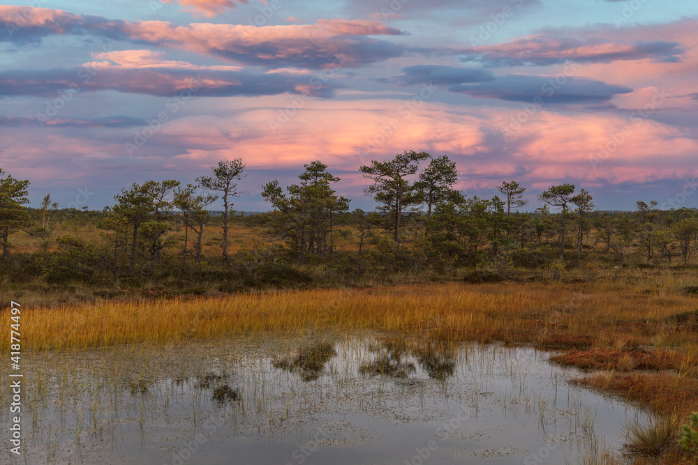 Amazinbg sunset sky over traditional bog landscape in Estonia. Hupassaare nature trail.